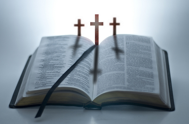 Truly Amazing Truly Amazing