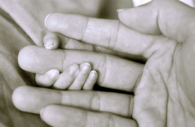 Are you struggling to get a solid grasp on the Bible?