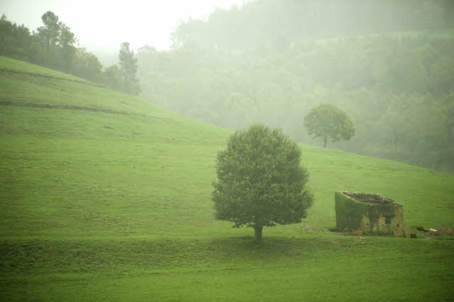 What’s The Trouble?