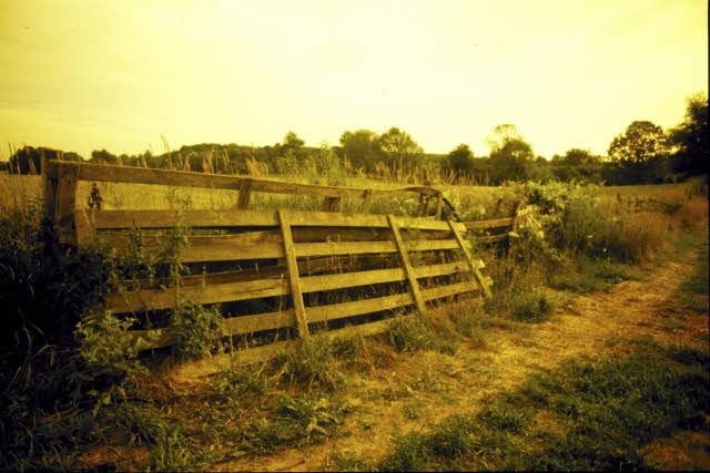 Lessons From A Fence