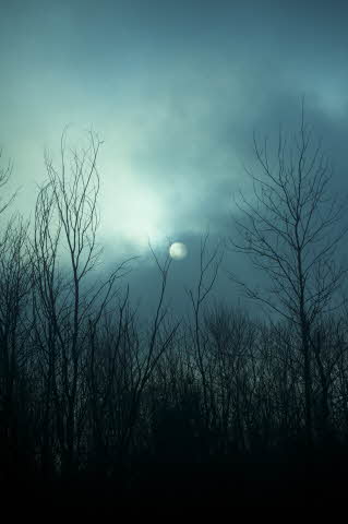 From Bleak To Beautiful