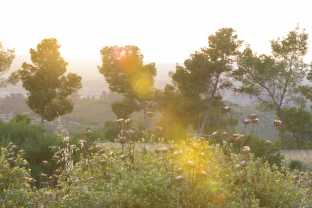 I’m Sorry, Man I’m Sorry, Man