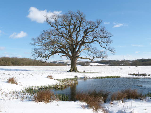 Yesterday, Today, And Tomorrow