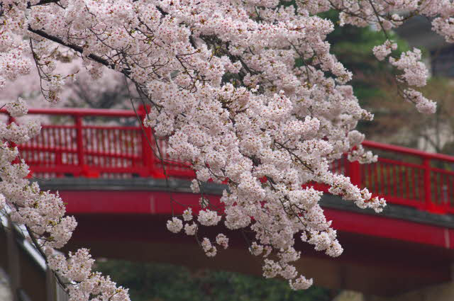 Seasons Of Life Seasons Of Life