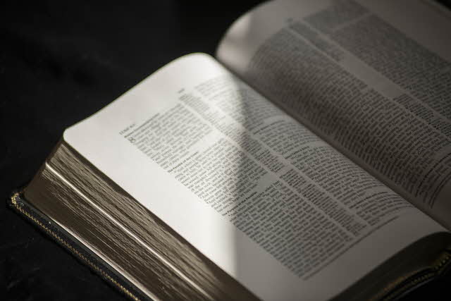 Digesting The Word