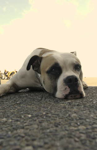 I’m Bored I’m Bored