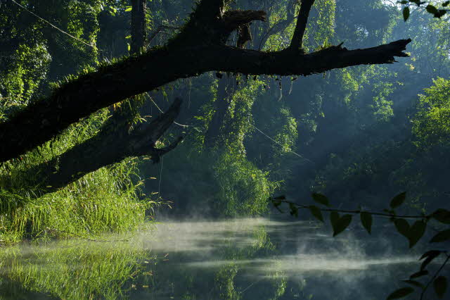 Looking at whether our good works are for the reward people provide, or the praise only God can give Looking at whether our good works are for the reward people provide, or the praise only God can give