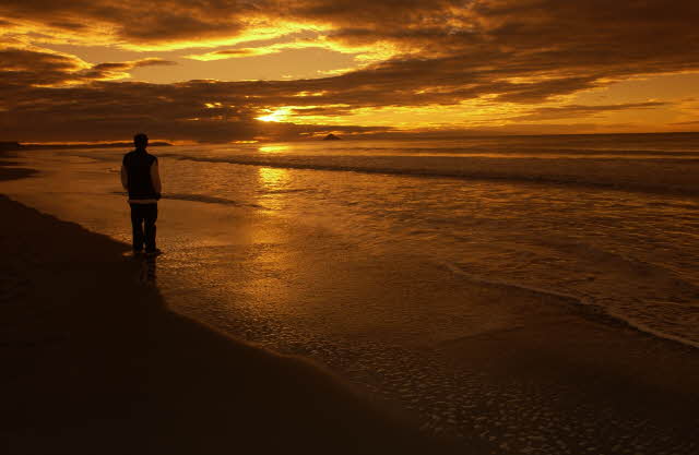 The Power Of Compassion The Power Of Compassion