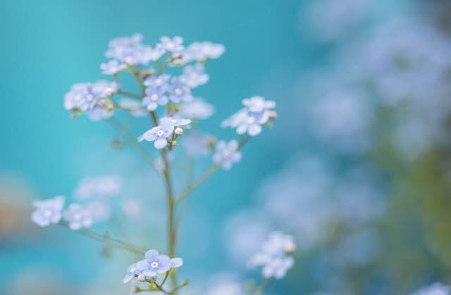 O Glorious Day! O Glorious Day!