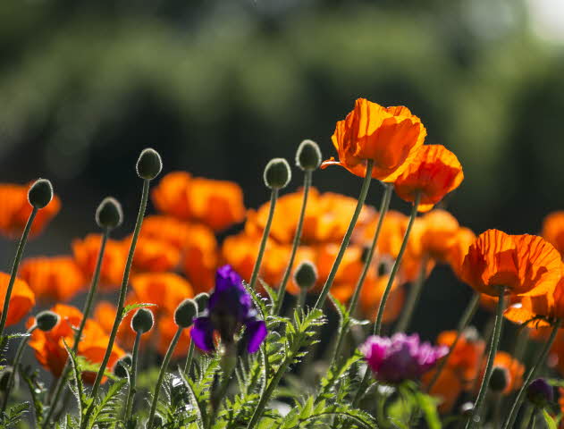 Good-Behavior Rewards Good-Behavior Rewards