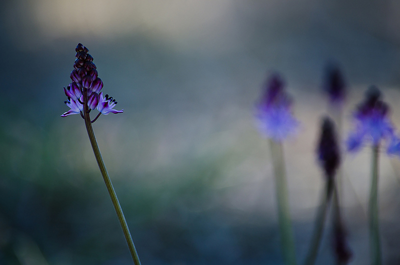 Find healing in embracing brokenness