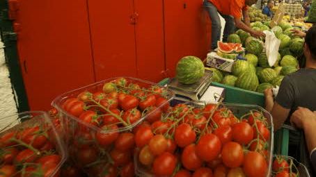 Free Tomatoes