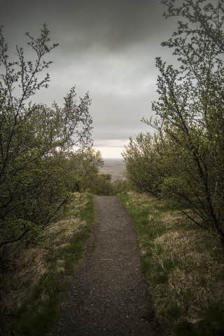 Find encouragement for your walk with God