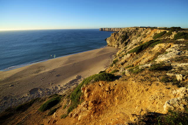 Who Gets The Credit?