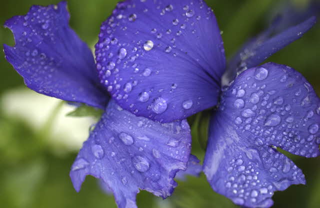 Let’s take a closer look at wisdom in action, in Proverbs chapter 31