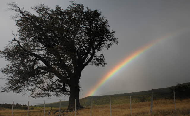 Discover God’s visible love for you, even in the midst of trials