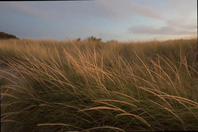 Working For The Wind