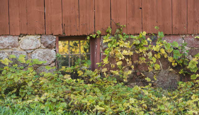 The Right Foundation