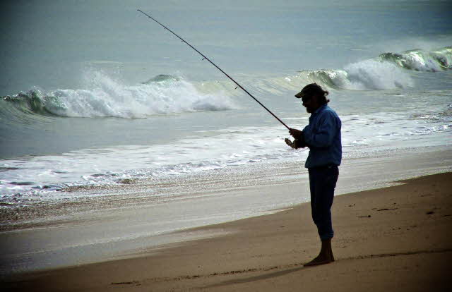 God Whispers “Fish” God Whispers “Fish”