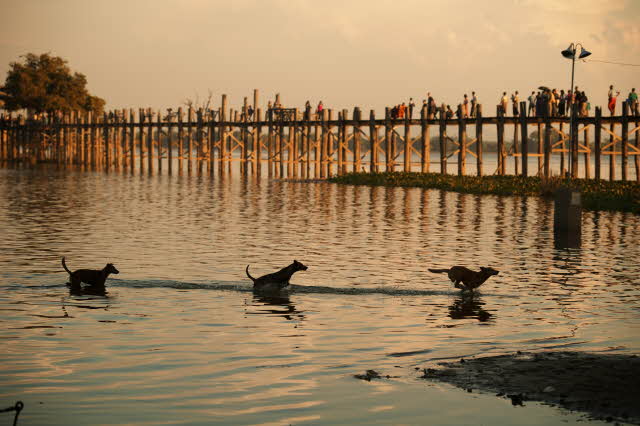 The Honor Of Following