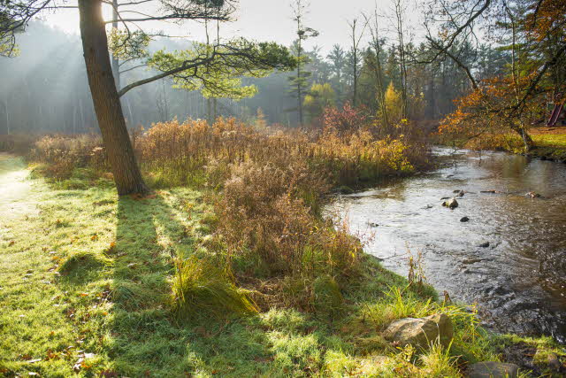 Is Jesus Still Here?