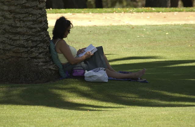 Story Stewards Story Stewards