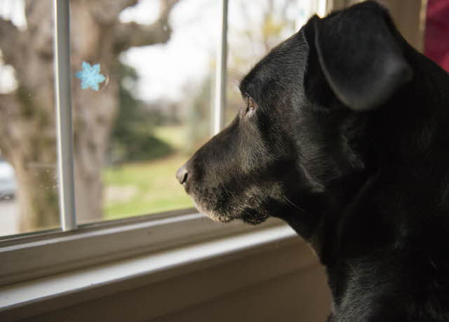 Delay May Not Mean Denial