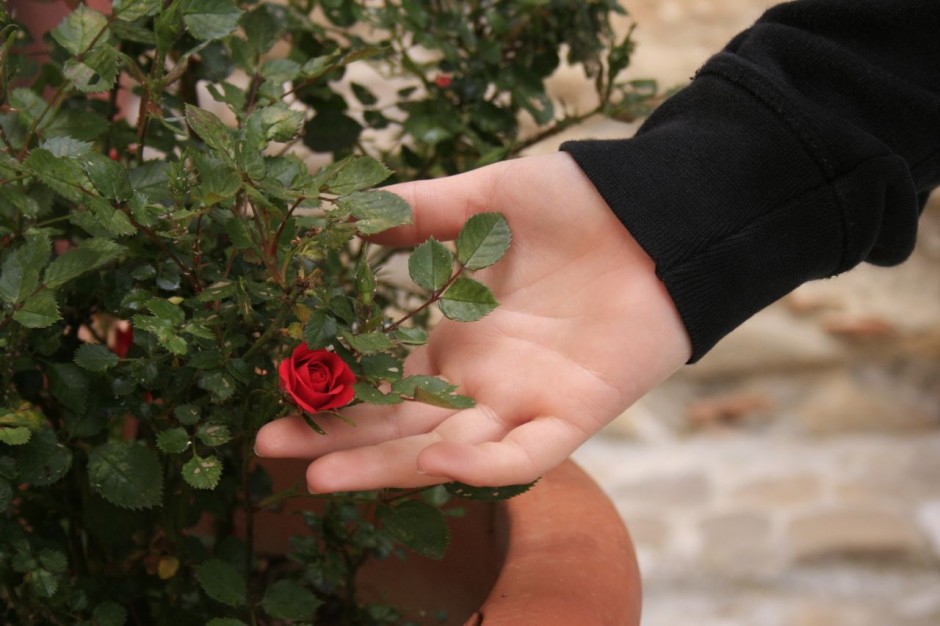 How biblical gentleness is the foundation of true strength How biblical gentleness is the foundation of true strength