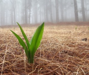 Discover the important relational element of wisdom Discover the important relational element of wisdom