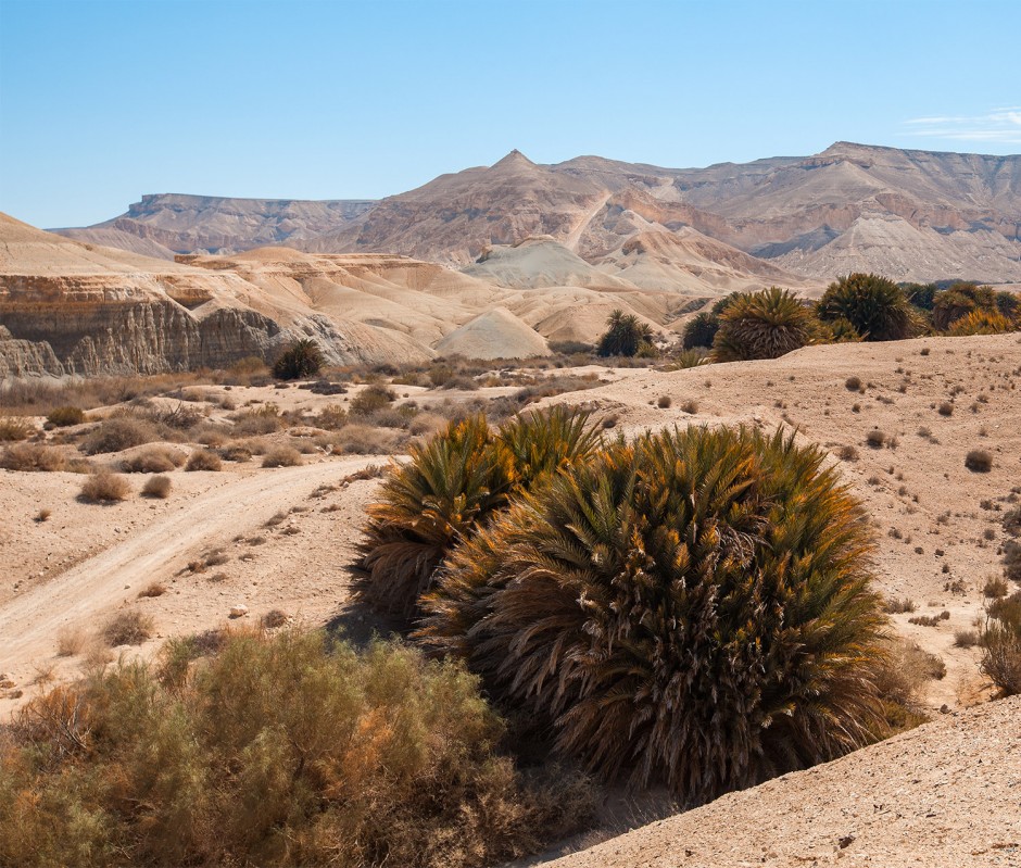 Let’s learn from a man who found wisdom in his sleep