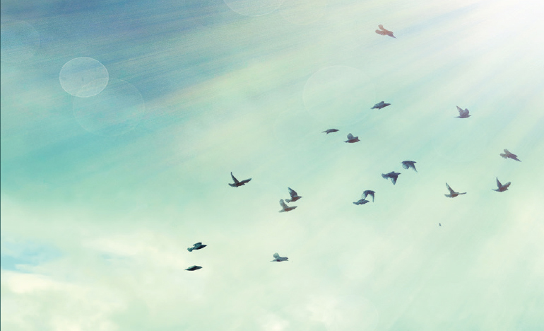 Death: Fear No More Death: Fear No More