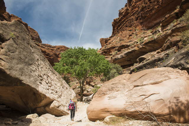 A Matter Of Perspective