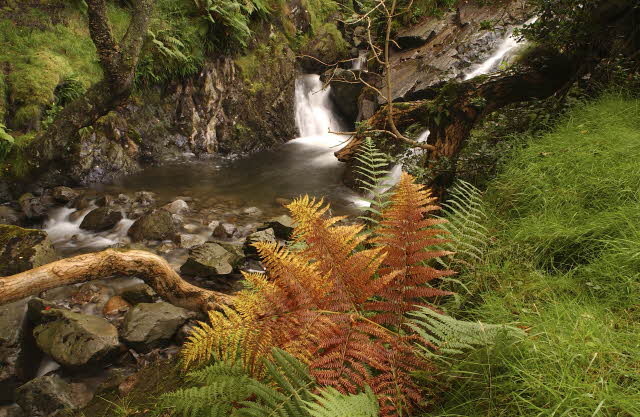 National Pride National Pride