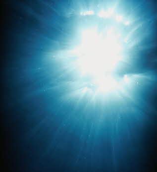 How we all can shine the light of Christ! How we all can shine the light of Christ!