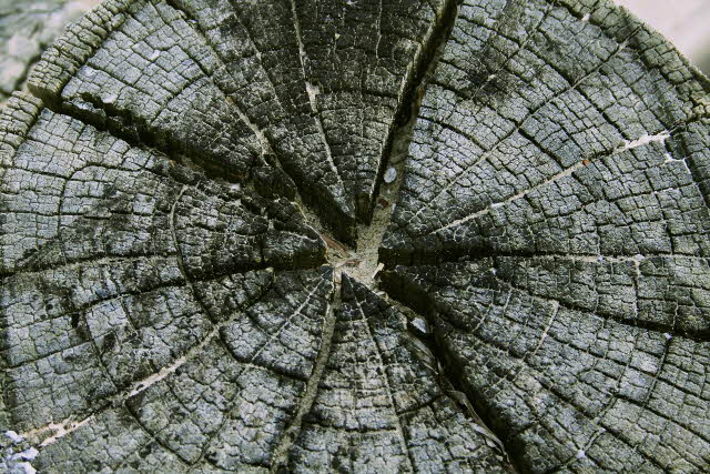 Perspective that can help you see “The Beauty of Broken”