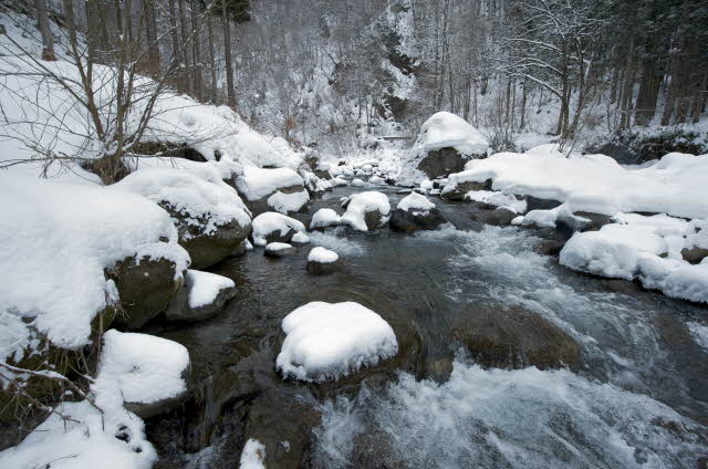 Peace, Be Still Peace, Be Still