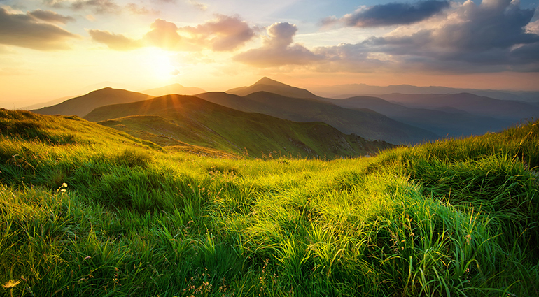 Seeing Is Disbelieving