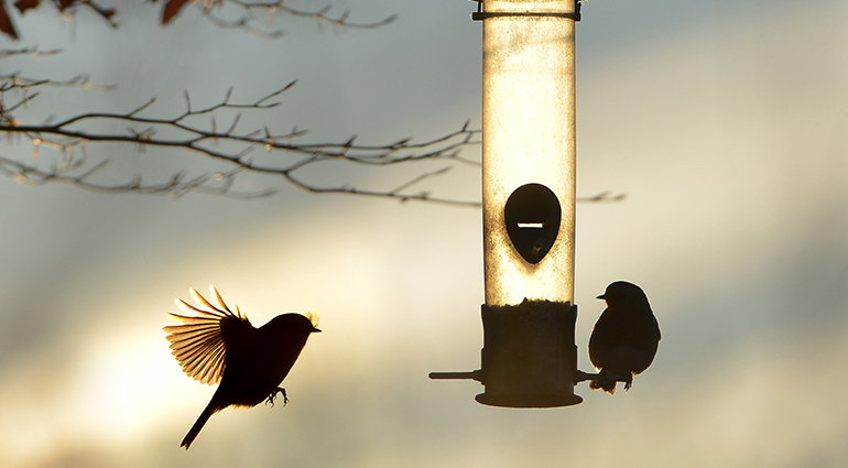 The Spirit’s Work Within