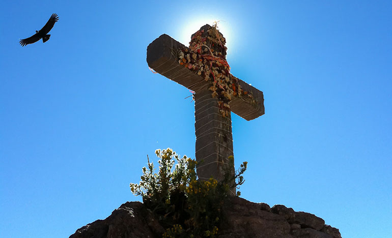 The Suffering of Jesus