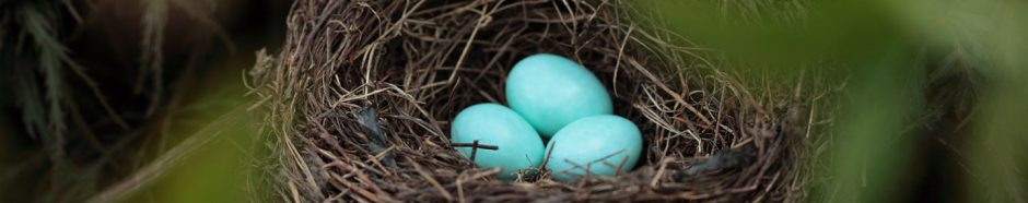 Prayer Eggs