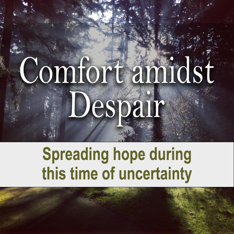 Comfort amidst Despair Our Daily Bread Ministries