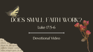 Living by Faith - Reading Plan