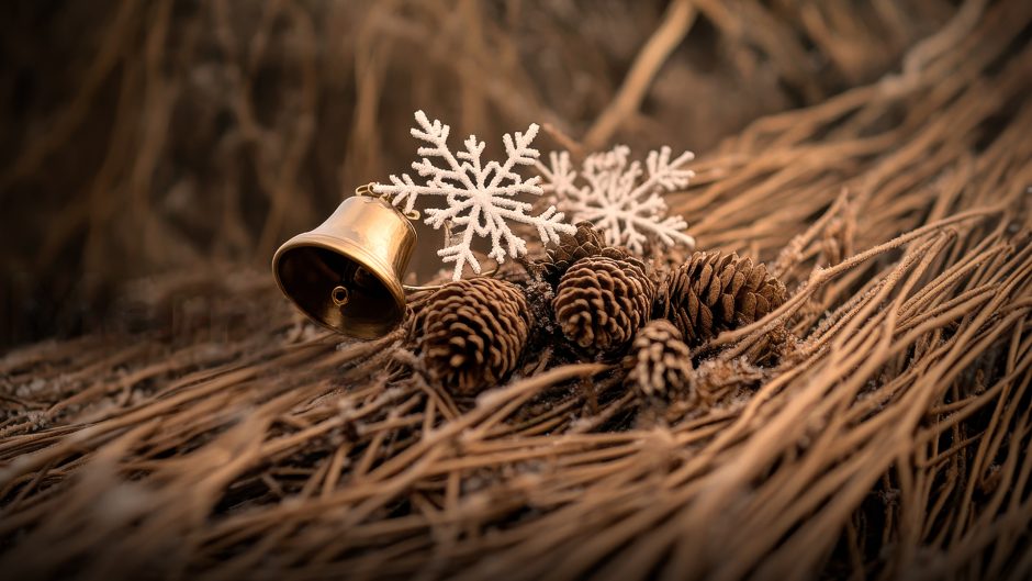A Christmas Message from the Field of Wheat