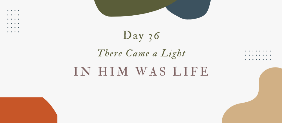 Lent Day 36: There came a light!
