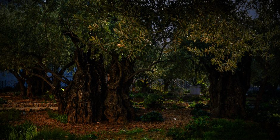 Surprising Moments in Jesus' Suffering Surprising Moments in Jesus' Suffering